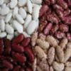 White Kidney Beans,Light Speckled Kidney Beans,Green Beans,Dark Red Kidney Beans